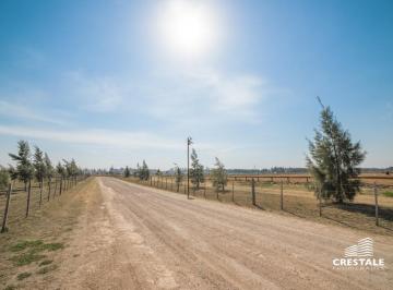 Terreno · 10000m² · Venta / Permuta - Terreno - Lote 10000 m² en Chacras del Lago - Funes