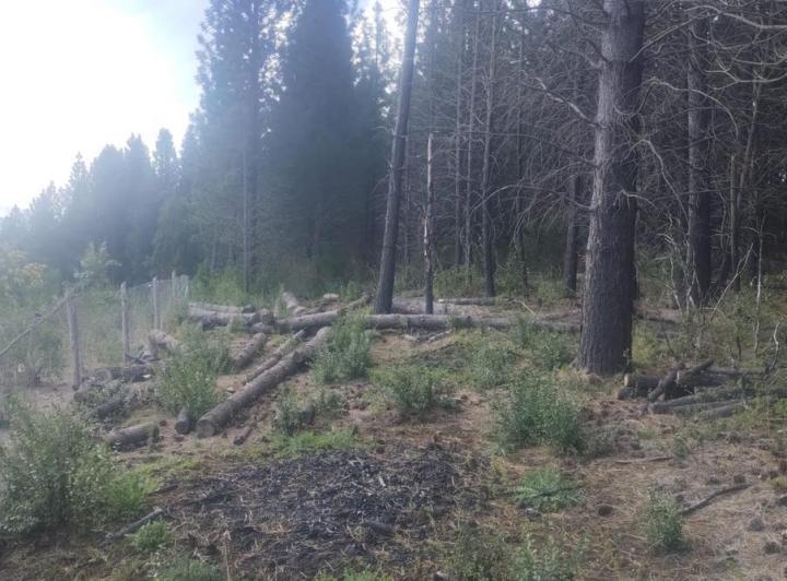 Terreno · 3700m²
