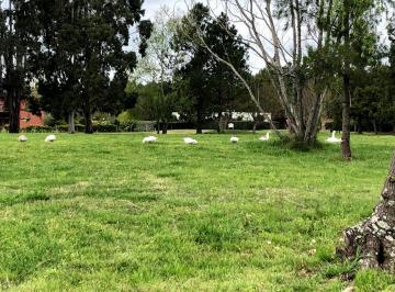 Terreno , La Plata · Venta Urgente Lote Miralagos1 L72 - Lote 1473 m²