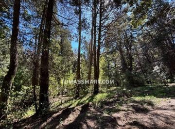 Terreno · 2523m² · Terreno en Arelauquen