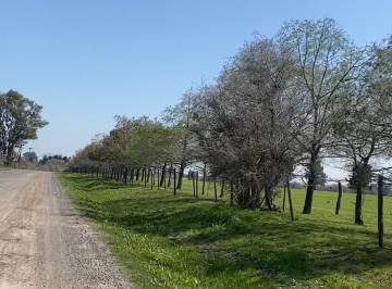 Campo · 140000m² · Campo en Venta, 14 Hectáreas, en Zarate, Escalada, G. B. a. Norte