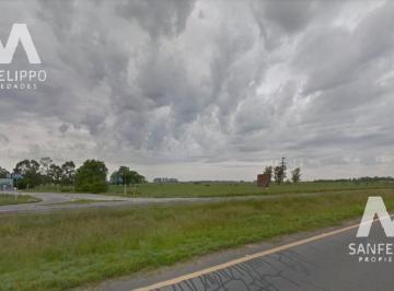 Campo · 88000m² · Campo - Chacra 24 - Venta - Chascomús