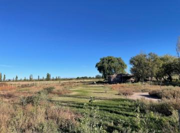 Terreno , Capitán Montoya · Finca de 3,8 Ha Cerca Acceso Los Reyunos y Ruta Mendoza