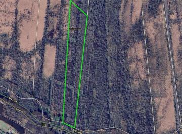 Campo · 47699m² · Fracción en Venta, Islas del Tigre, Escobar. Ideal Inversores.