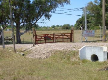 Terreno , Brandsen · Excelente Loteo Precio Rebajado Oportunidad