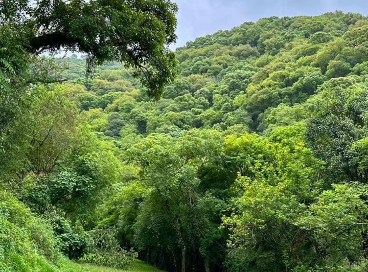 Terreno · 4200m²
