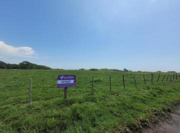 Terreno , Pavón · Hectárea en Venta a 200 m del Asfalto Paraje Pavón