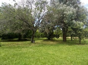 Terreno · 98m² · 4 Ambientes · Terreno Fraccion Venta 9600 m² con Casa Arboleda Asfalto Gas Agua Villa Elisa Entre Caminos