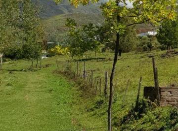 ISN-ISN-2179_2 · Lote. | La Ovejeria - Tafí del Valle