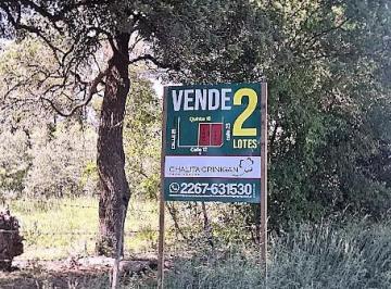 Terreno , General Juan Madariaga · Dos Amplios Lotes Forestados.