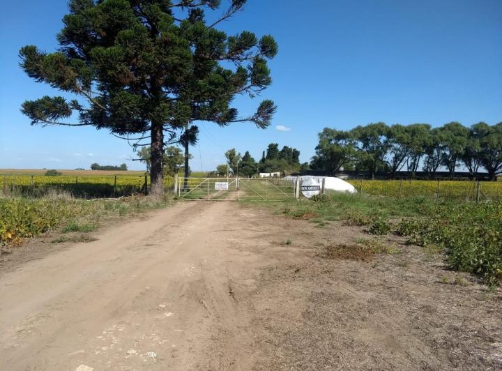 Campo · 800m²