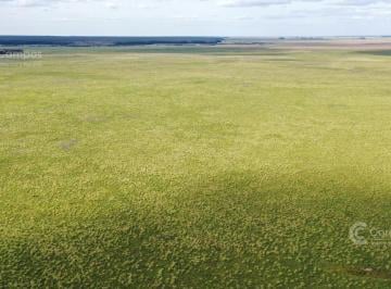 Campo · 100000000m² · Se Vende Campo de 10.000 Ha Corrientes, Argentina