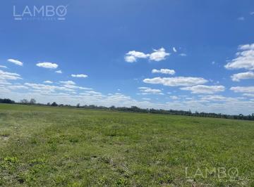Terreno · 1709m² · Venta Lote Terreno Pilar Pilara Cabriolet