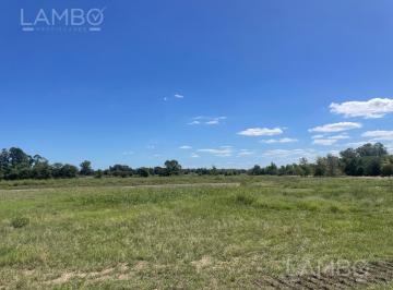 Terreno · 1000m² · Venta Lote Terreno Pilar Pilara Tilbury