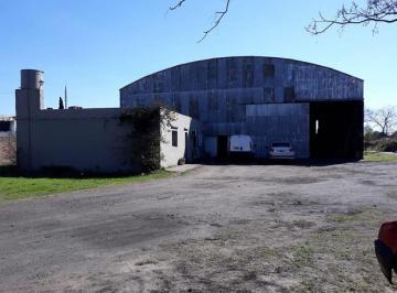 Bodega-Galpón · 1380m² · Local - Triangulo