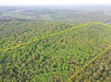 Campo · 530000m² · Chacra de 53ha en Venta en Puerto Piray, Misiones