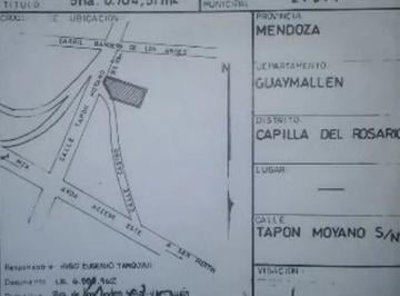 Terreno , Guaymallén · Venta Terreno 5 Ha:acceso Este/tirasso, Guaymallen - Desarrollo Inmobiliario
