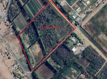 Campo · 200m² · 3 Ambientes · Chacra en Venta - 3 Galpones - 40.000 m² - Neuquén