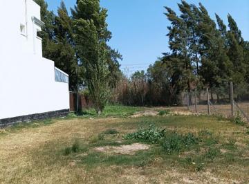 Terreno · 325m² · Terreno en Venta - 325 m² - Altos de Don Carlos