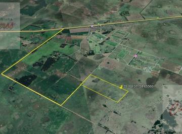Terreno · 60ha · Campo de 60has en Cañuelas, Cercano a Estancia Puesto Viejo. Ruta 6 Km 82.