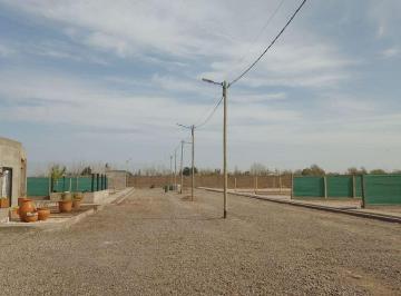 AVX-AVX-118_2 · Venta de Lotes Urbanizados en Fray Luis Beltrán, Maipu