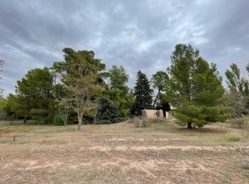 Terreno , San Rafael · Finca de 10 Ha Sin Plantaciones en Calle Los Olmos, San Rafael Mendoza