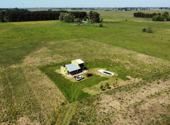 Campo