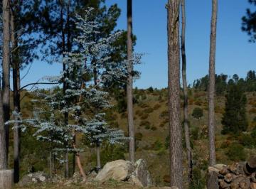 Terreno , Intiyaco · Venta de Lote en Athos Pampa - Tlc0630