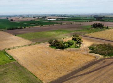 Campo , Elvira · Campo 35 Has Agrícolas, Elvira, Partido de Lobos, Buenos Aires
