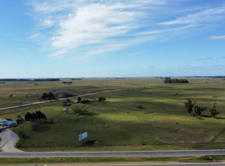 Campo · 1ha