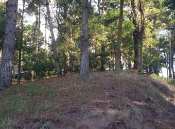 Terreno · 675m² · Lote 675 m de Buena Altura y Forestación