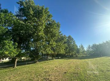 Terreno · 5011m² · Venta Lote 5011 m² Central con Arboleda en Exaltación de La Cruz