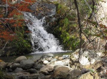 Terreno · 3760000m² · Campo "Las Cascadas" en Venta - 376 Ha - Cholila - Chubut