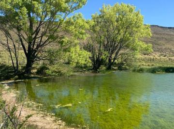 Campo · 78000000m² · Estancia 7800 Ha - Zapala - Neuquen