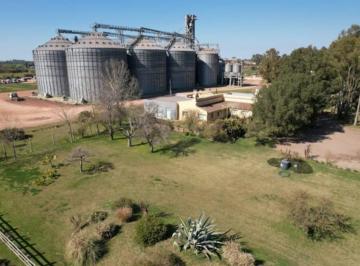 Campo · 10000m² · Planta de Silos - Zona Trenque Lauquen - Venta