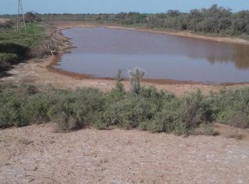 Campo · 10000000m² · 1000 Ha en Venta - Herrera - Santiago del Estero