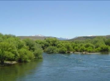 Campo · 250000m² · 25 Ha Chacay Leufu - Junin de Los Andes