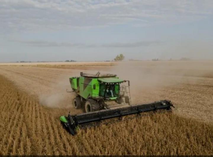 Campo · 15130000m²