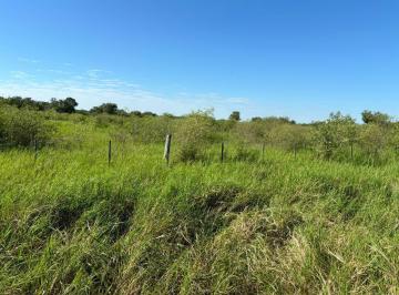 Campo · 1050000m² · Campo Ganadero en Venta - 105 Ha - Chaco