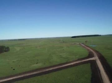 Campo · 33000000m² · Campo en Venta - Paysandu - R. O. u