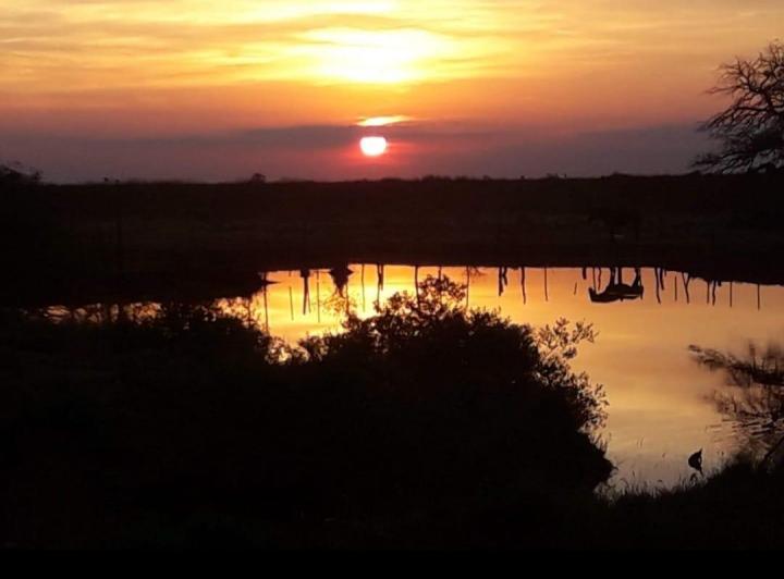 Campo · 25000000m²