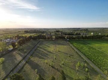 Terreno · 900m² · Terreno Lote en Venta en Arana, La Plata, G. B. a. Zona Sur