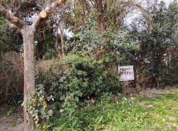 Terreno · 300m² · Venta Terreno en Paso del Rey