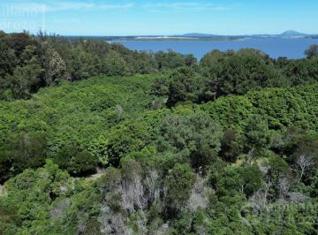 Terreno · 2001m² · Venta Terreno Las Cumbres Punta Ballena Punta del Este