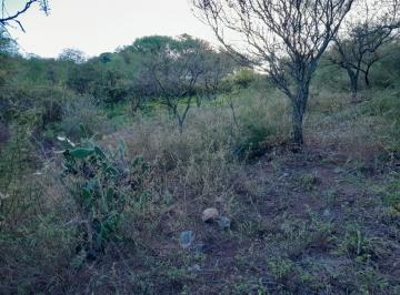 Foto · Terreno en Venta Cumbres de Villa Allende