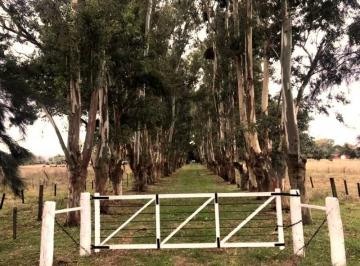 Campo · Fracción de 14 Ha C/mejoras en Excelente Ubicación - Torres - Luján