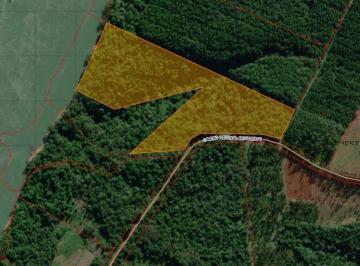 Campo · 70543m² · Vendo Chacra en Garuhape Misiones Costa Rio Parana