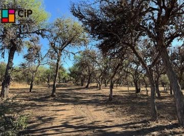 Terreno , Carpintería · Terrenos #financiados# en Campos del Poniente - Carpinteria - San Luis