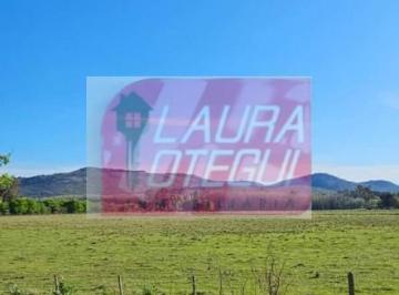 Campo · 39000m² · Venta 3.9 Has en Tandil