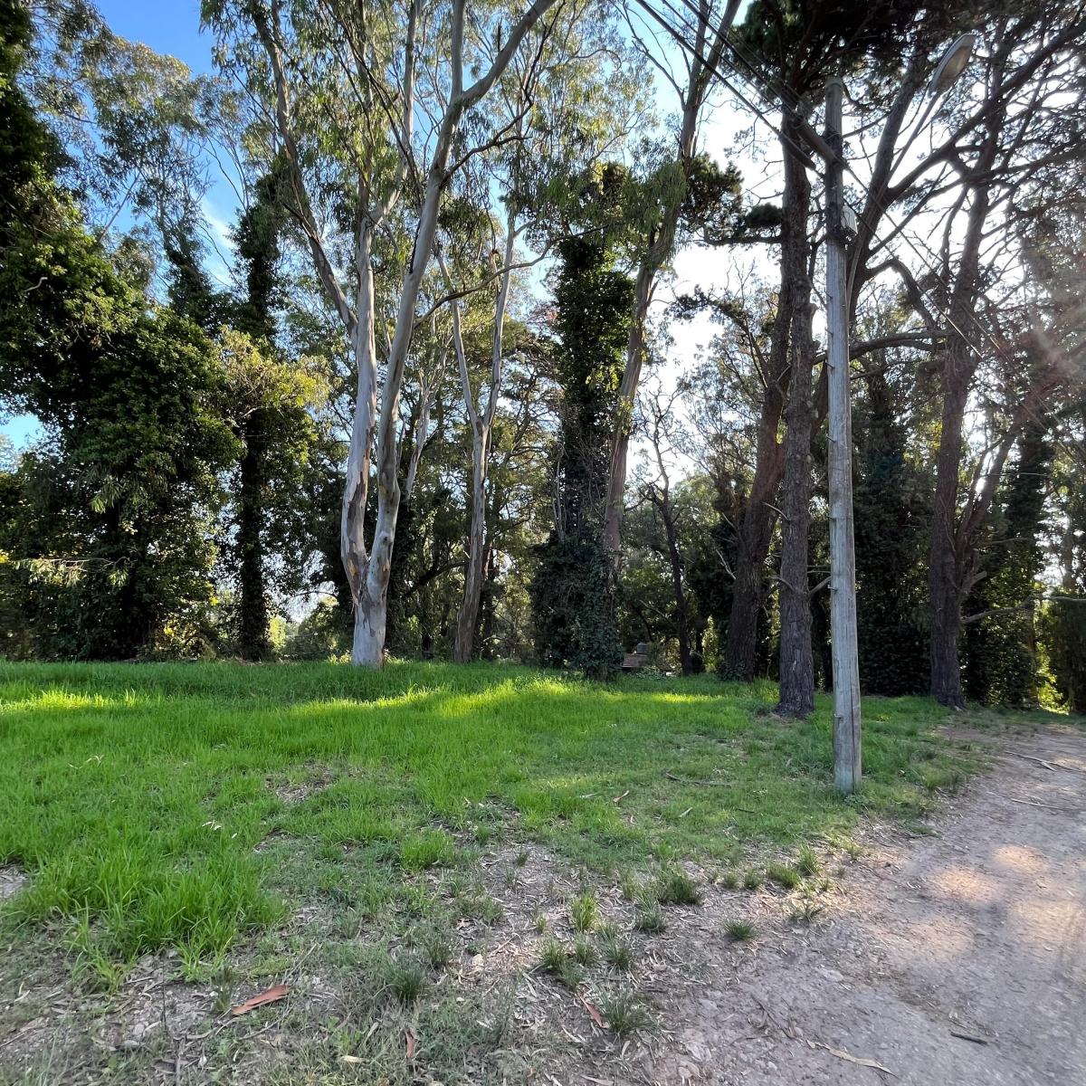 Venta en block de 4 lotes entrada al bosque pramos